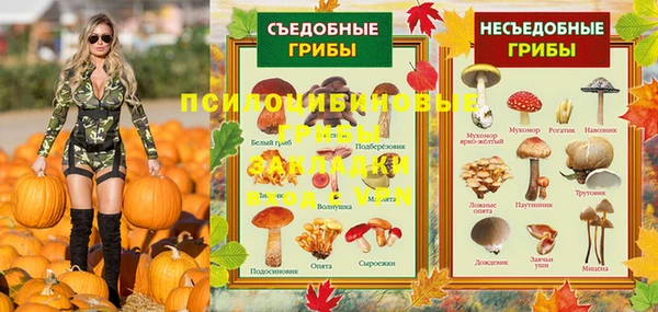 гашик Алексин