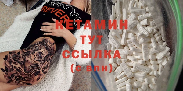 гашик Алексин