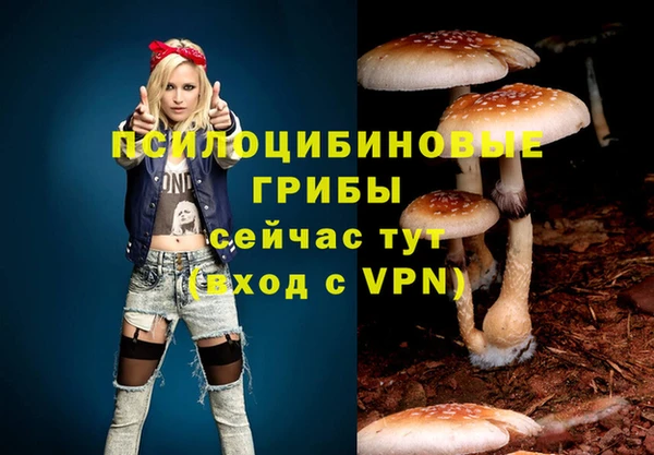 скорость mdpv Вяземский