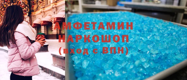 гашик Алексин