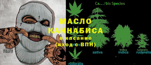 гашик Алексин