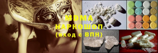 гашик Алексин