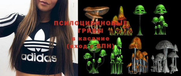 гашик Алексин