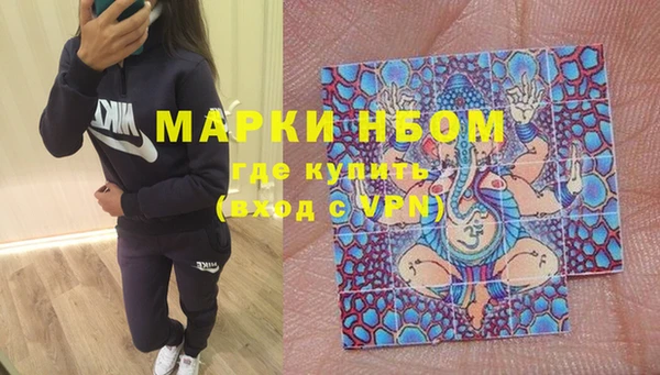 гашик Алексин