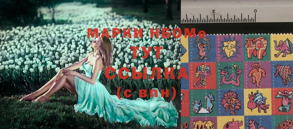 гашик Алексин