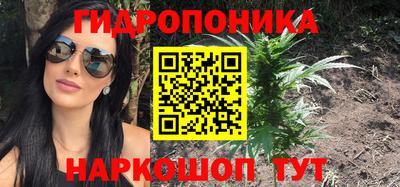 индика Кимры