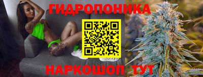 индика Кимры