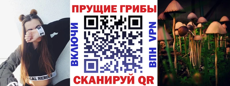 Псилоцибиновые грибы мухоморы  Коряжма 