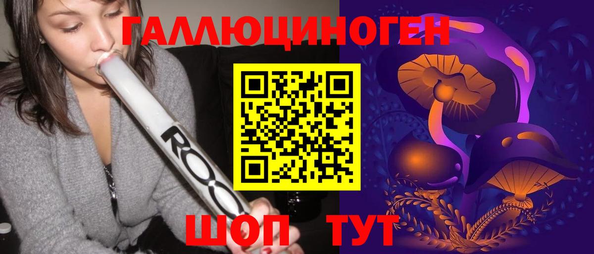 Псилоцибиновые грибы Psilocybe  Псилоцибиновые грибы прущие грибы  Вход с VPN  Коряжма 