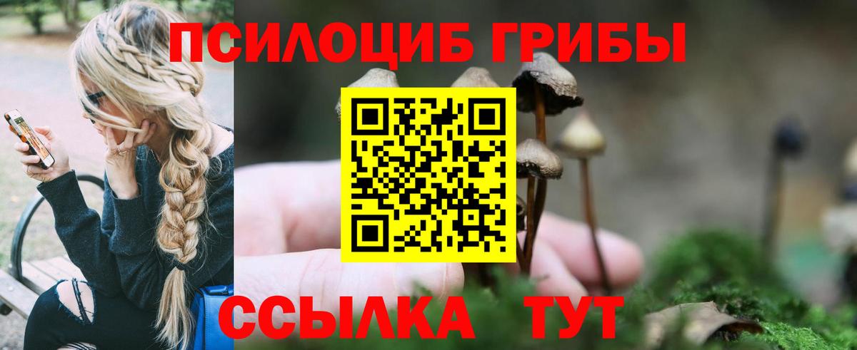 Галлюциногенные грибы мицелий Коряжма